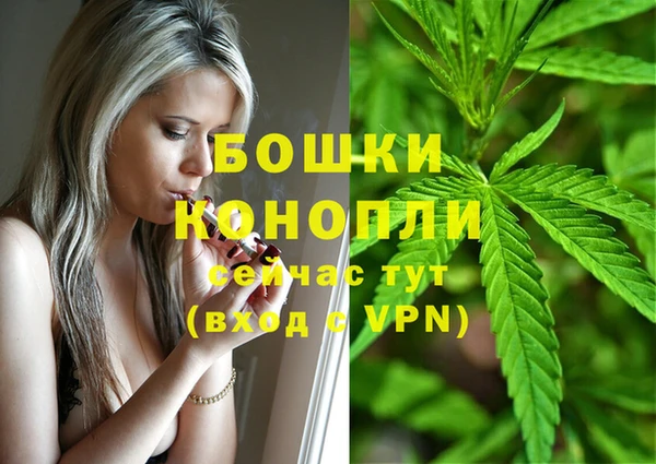 стаф Верхний Тагил
