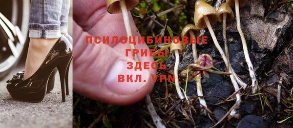 дживик Верея