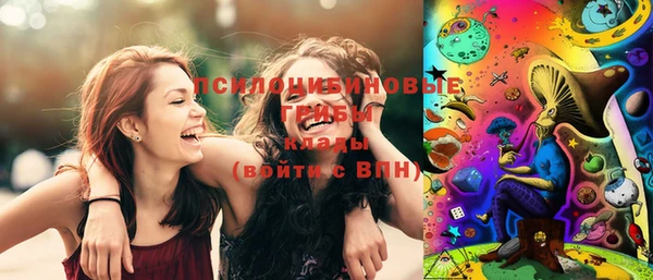 дживик Верея