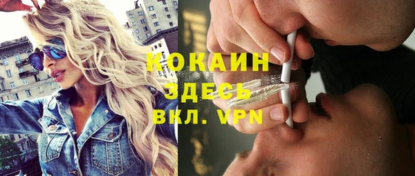 дживик Верея