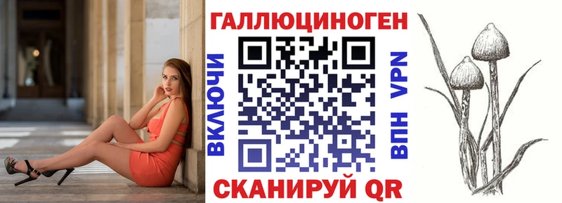 MEGA зеркало  Юрга  Галлюциногенные грибы Psilocybe 